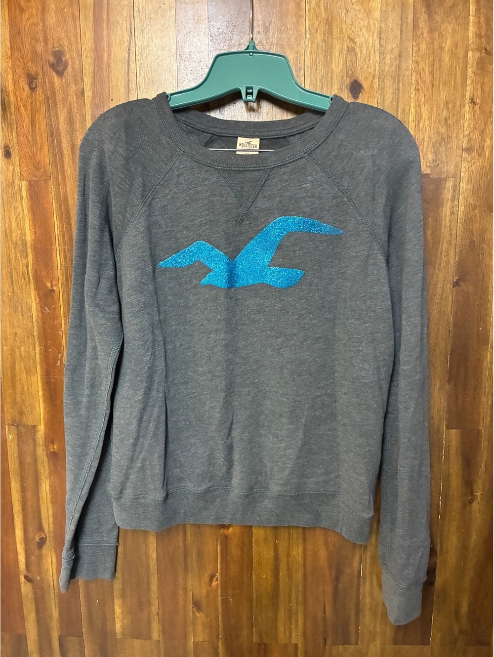 Hollister Women’s Gray Mesh Back Sweatshirt Blue Glitter Logo Y2K 2000s